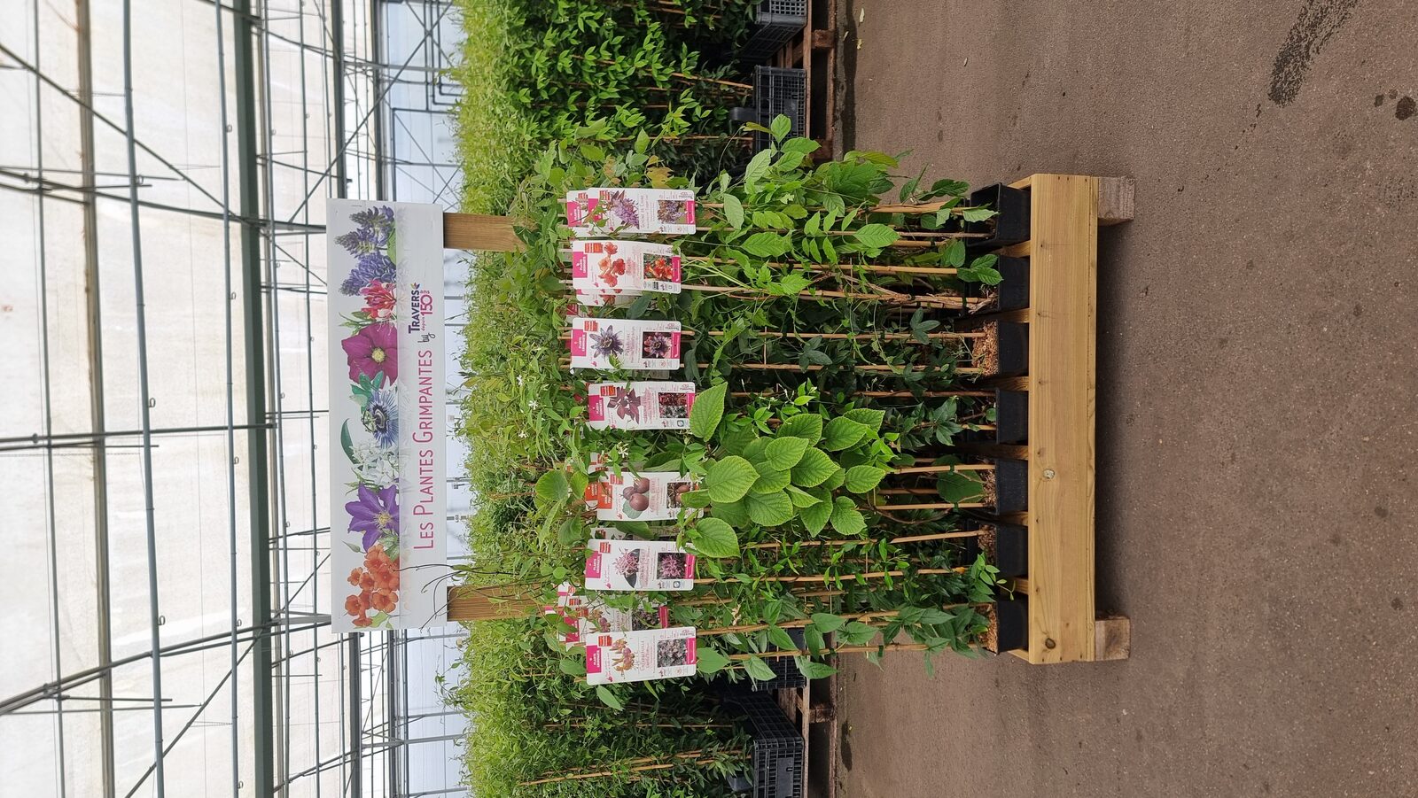Meuble de vente Les Plantes Grimpantes en situation dans une pépinière